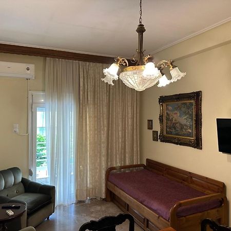Theoni Central Apartment Kalambaka Esterno foto