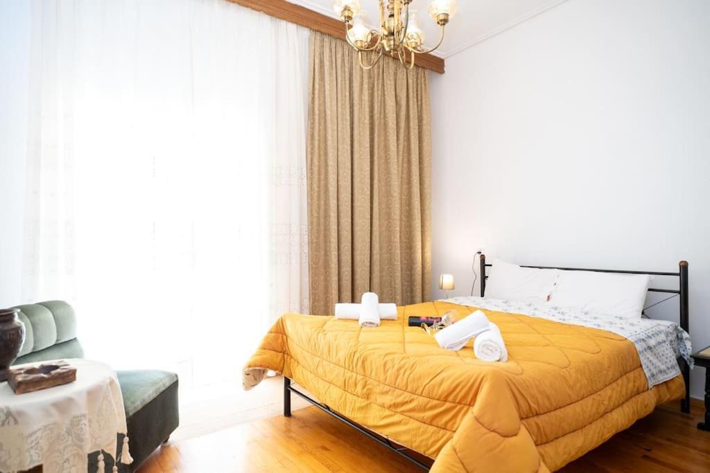 Theoni Central Apartment Kalambaka Esterno foto