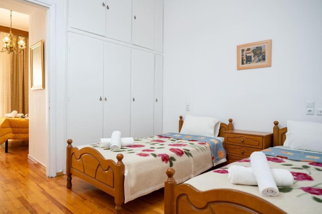 Theoni Central Apartment Kalambaka Esterno foto