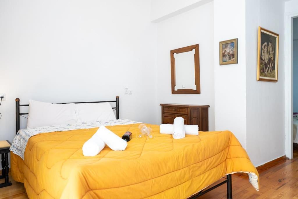 Theoni Central Apartment Kalambaka Esterno foto
