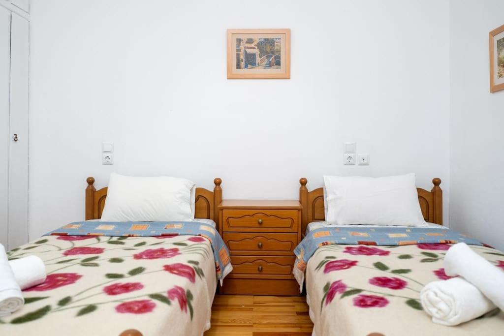 Theoni Central Apartment Kalambaka Esterno foto